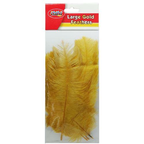 Feathers Gold Large 15-20Cm 5Pcs | West Pack Lifestyle