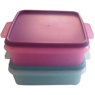 Easy Carry Square Lunch Box 2Pc | West Pack Lifestyle